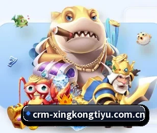 了解平台 - 体育资讯内容服务 - XINGKONG